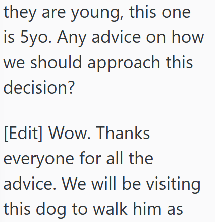 they are young, this one is 5yo. Any advice on how we should approach this decision? [Edit] Wow. Thanks everyone for all the advice. We will be visiting this dog to walk him as