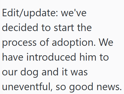 Edit/update: we've decided to start the process of adoption. We have introduced him to our dog and it was uneventful, so good news.