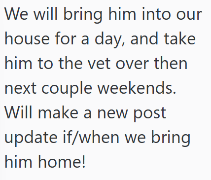 We will bring him into our house for a day, and take him to the vet over then next couple weekends. Will make a new post update if/when we bring him home!
