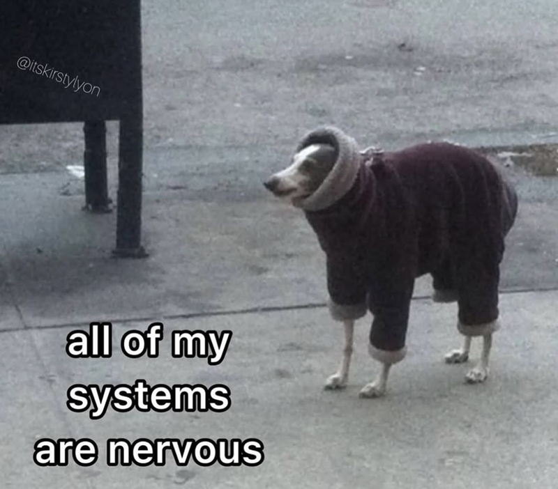 @itskirstylyon all of my systems are nervous