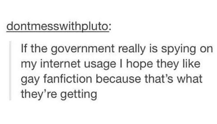 dontmesswithpluto: If the government really is spying on my internet usage I hope they like gay fanfiction because that's what they're getting