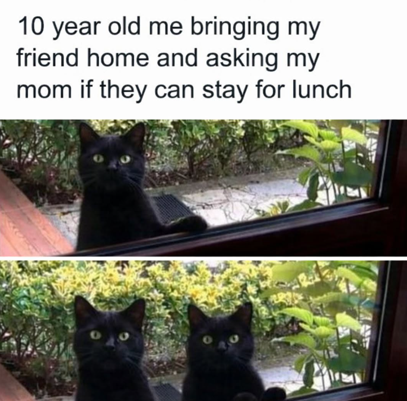 10 year old me bringing my friend home and asking my mom if they can stay for lunch O 30