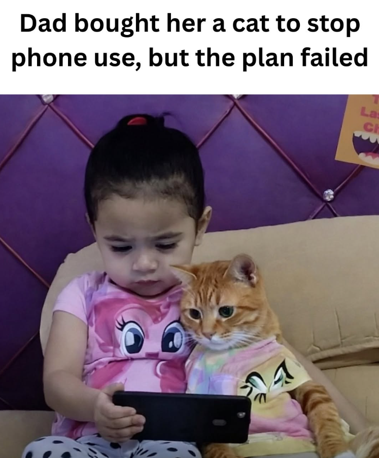 Dad bought her a cat to stop phone use, but the plan failed La Ch श्री 1