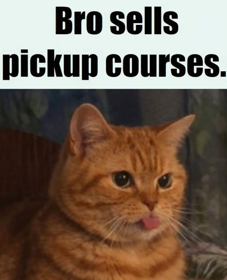 Bro sells pickup courses.