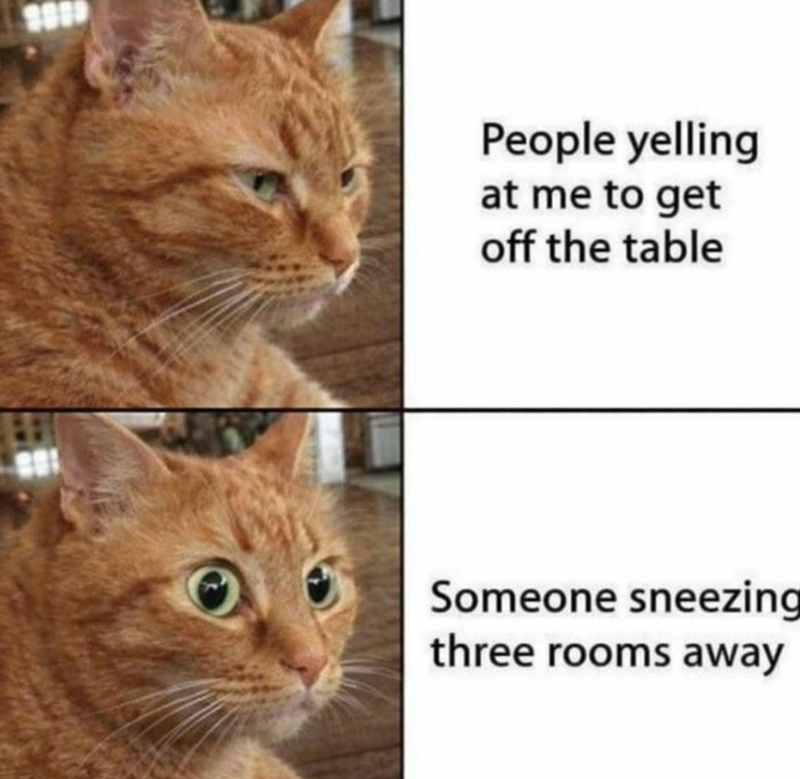 People yelling at me to get off the table Someone sneezing three rooms away