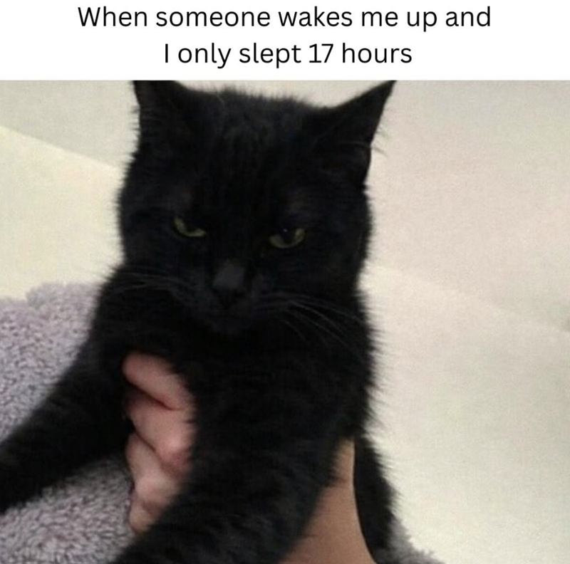 When someone wakes me up and I only slept 17 hours