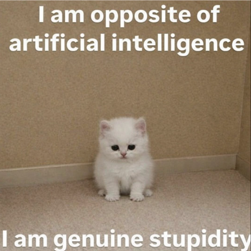 I am opposite of artificial intelligence I am genuine stupidity
