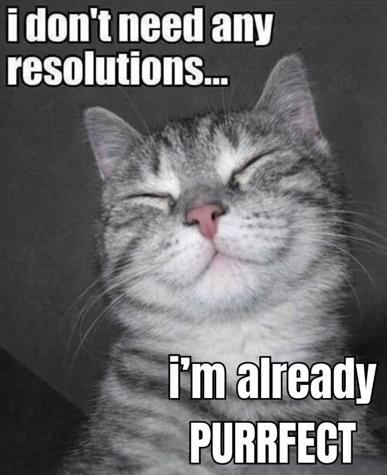 i don't need any resolutions... i'm already PURRFECT
