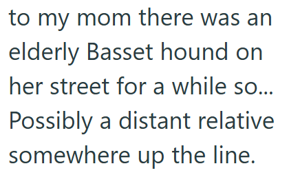 to my mom there was an elderly Basset hound on her street for a while so... Possibly a distant relative somewhere up the line.