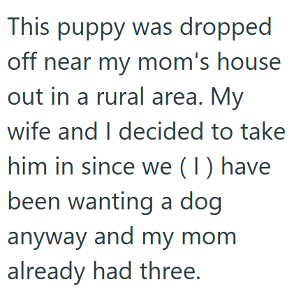This puppy was dropped off near my mom's house out in a rural area. My wife and I decided to take him in since we (1) have been wanting a dog anyway and my mom already had three.