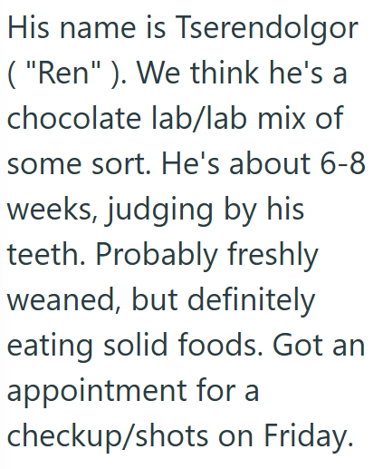 His name is Tserendolgor ("Ren"). We think he's a chocolate lab/lab mix of some sort. He's about 6-8 weeks, judging by his teeth. Probably freshly weaned, but definitely eating solid foods. Got an appointment for a checkup/shots on Friday.