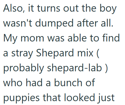 Also, it turns out the boy wasn't dumped after all. My mom was able to find a stray Shepard mix ( probably shepard-lab) who had a bunch of puppies that looked just