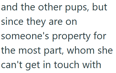 and the other pups, but since they are on someone's property for the most part, whom she can't get in touch with
