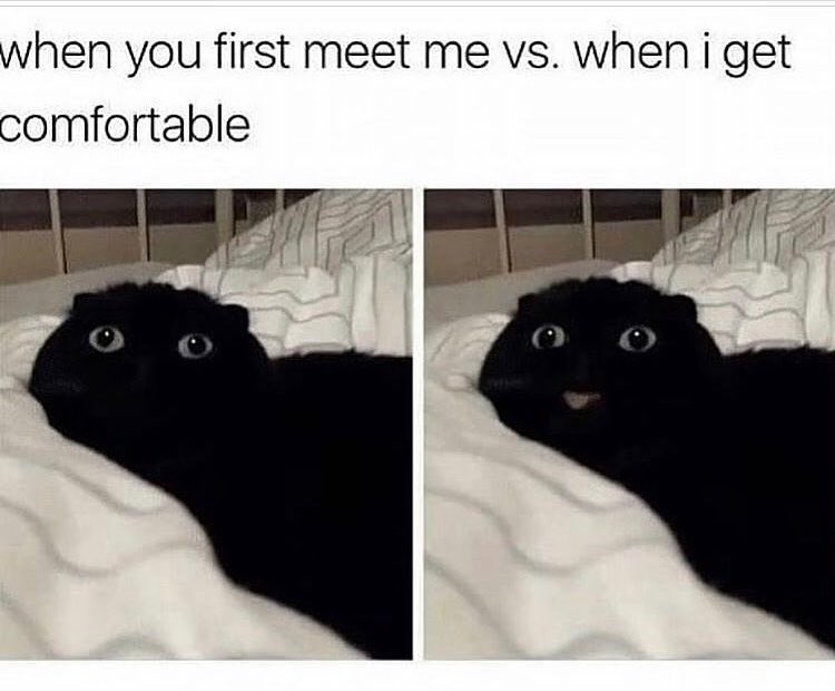 when you first meet me vs. when i get comfortable