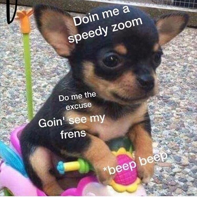 Doin me a speedy zoom Do me the excuse Goin' see my frens *beep beep*