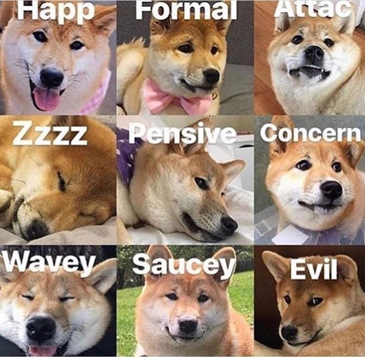 Happ Formal Attac Zzzz Pensive Concern Wavey Saucey Evil