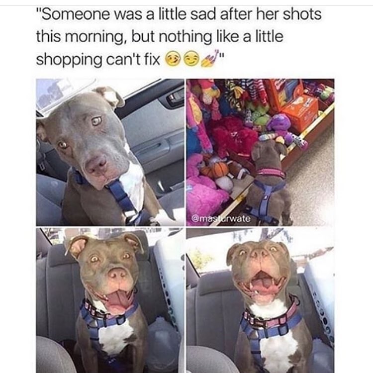 "Someone was a little sad after her shots this morning, but nothing like a little shopping can't fix @mastarwate