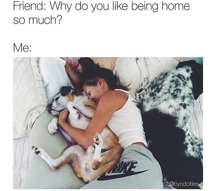Friend: Why do you like being home so much? Me: @byodcities