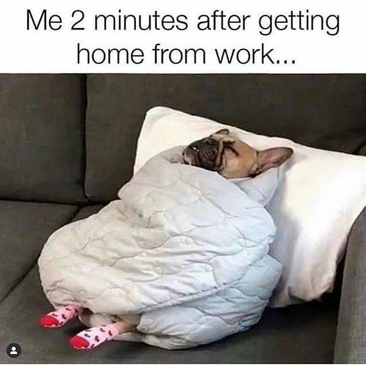 Me 2 minutes after getting home from work...