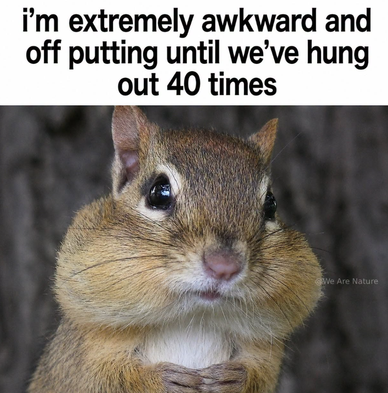 i'm extremely awkward and off putting until we've hung out 40 times @We Are Nature