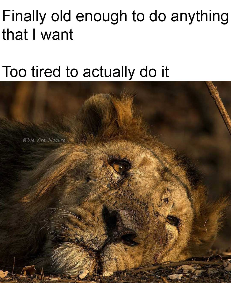 Finally old enough to do anything that I want Too tired to actually do it @We Are Nature