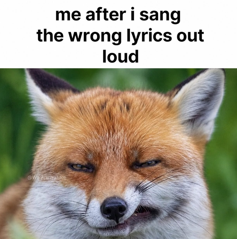 me after i sang the wrong lyrics out loud @We Are Nature