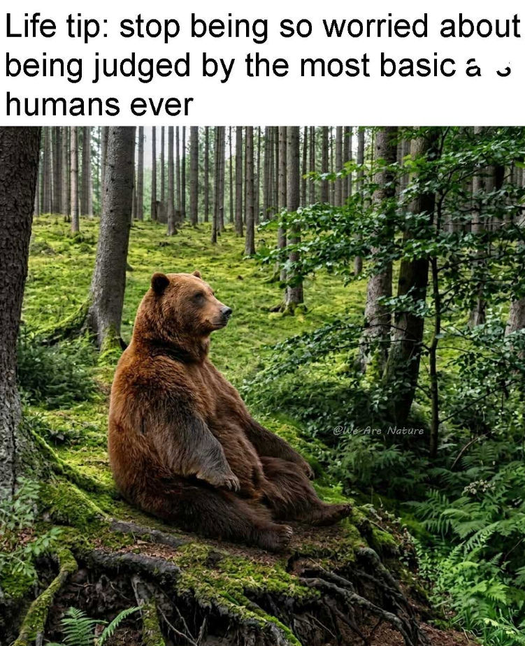 Life tip: stop being so worried about being judged by the most basic a humans ever @We Are Nature