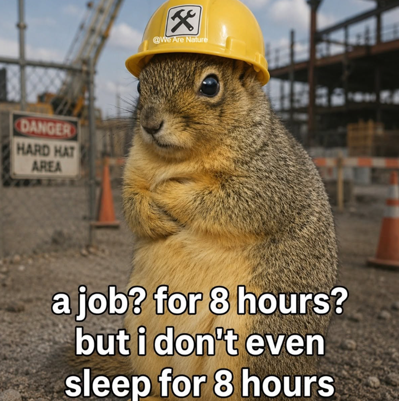 DANGER HARD HAT AREA X @We Are Nature a job? for 8 hours? but i don't even sleep for 8 hours