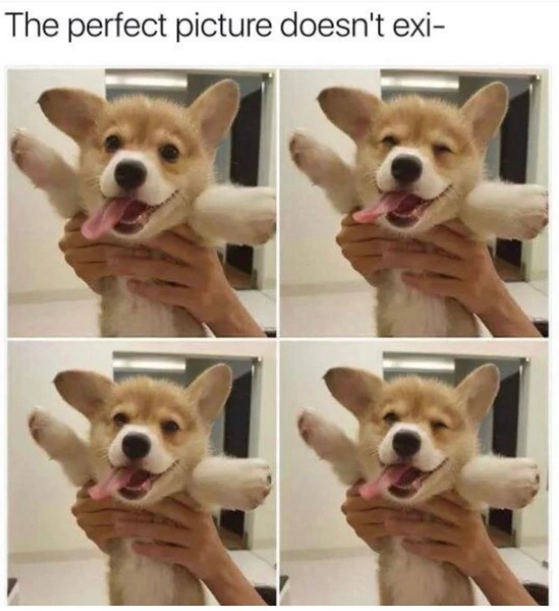 The perfect picture doesn't exi-