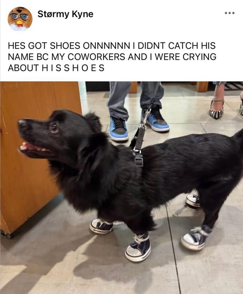Størmy Kyne HES GOT SHOES ONNNNNN I DIDNT CATCH HIS NAME BC MY COWORKERS AND I WERE CRYING ABOUT HIS SHOES A