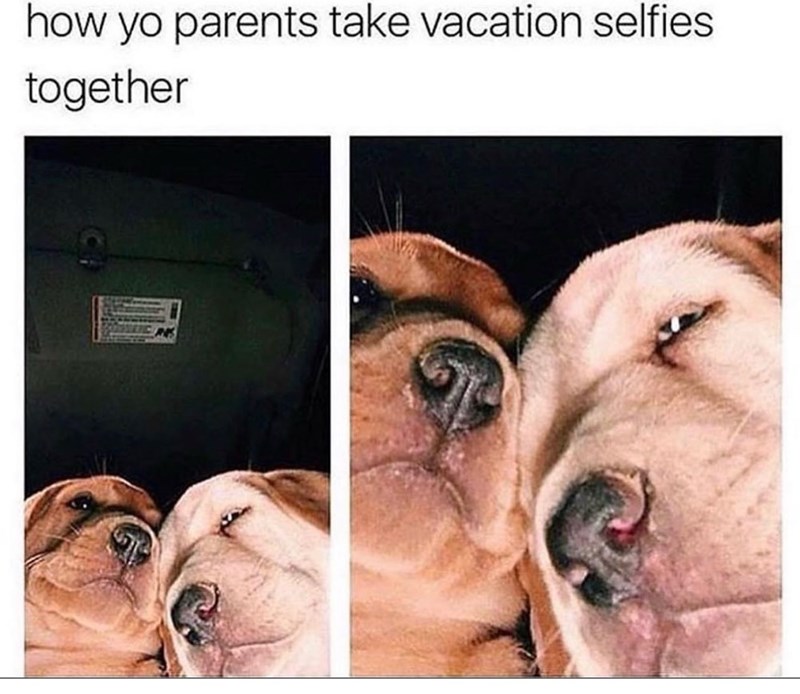 how yo parents take vacation selfies together