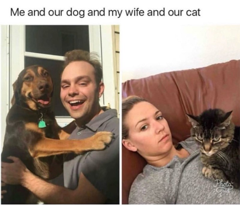 Me and our dog and my wife and our cat Photo Crid