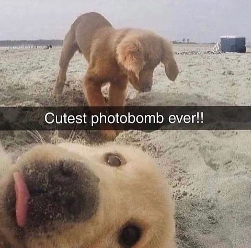 Cutest photobomb ever!!