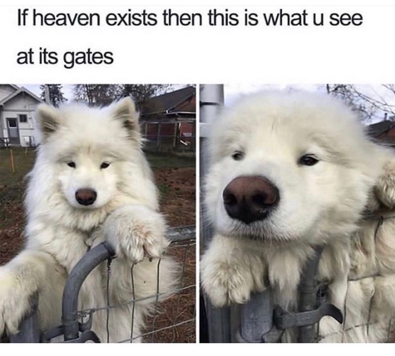 If heaven exists then this is what u see at its gates