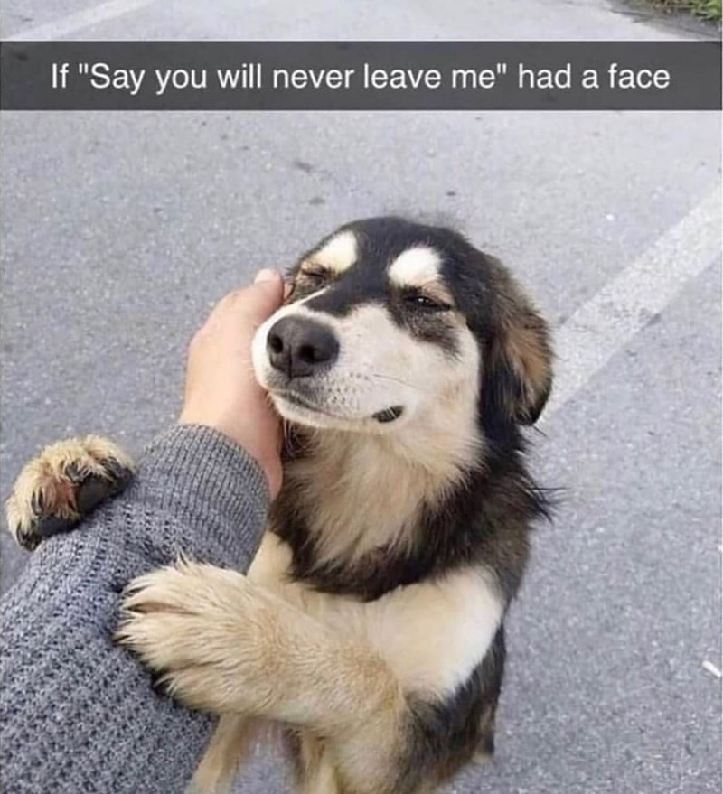 If "Say you will never leave me" had a face