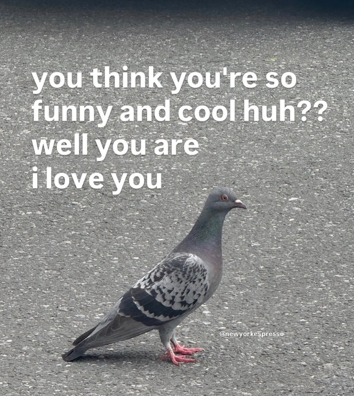 you think you're so funny and cool huh?? well you are i love you Gnewyorkespresso