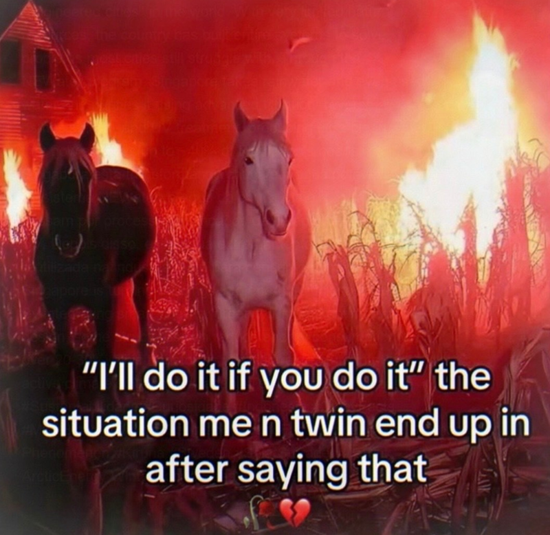 Arc jost cities st Esterh sam por process tilizada na RICO zapore s fe "I'll do it if you do it" the situation me n twin end up in after saying that