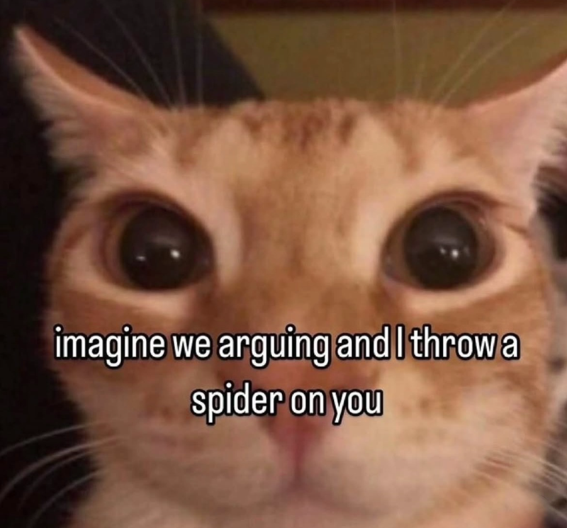 imagine we arguing and I throw a spider on you