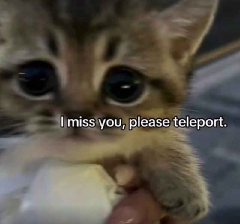 I miss you, please teleport.