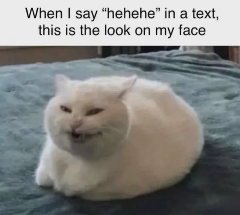 When I say "hehehe" in a text, this is the look on my face