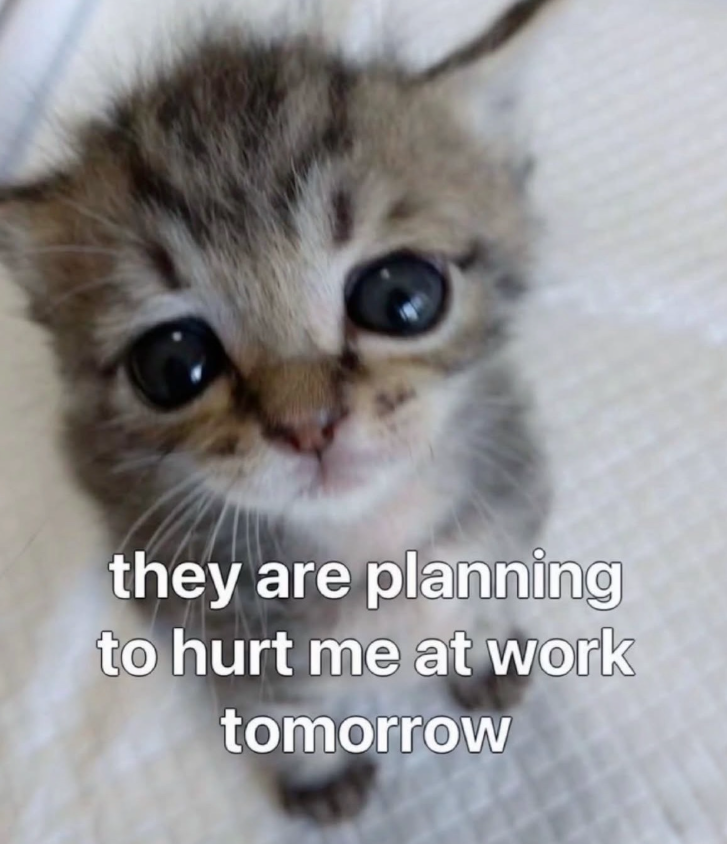 they are planning to hurt me at work tomorrow