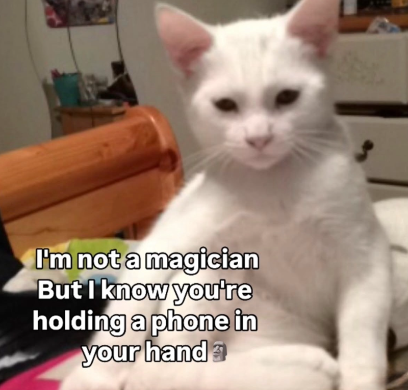I'm not a magician But I know you're holding a phone in your hand