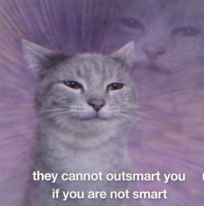 they cannot outsmart you if you are not smart