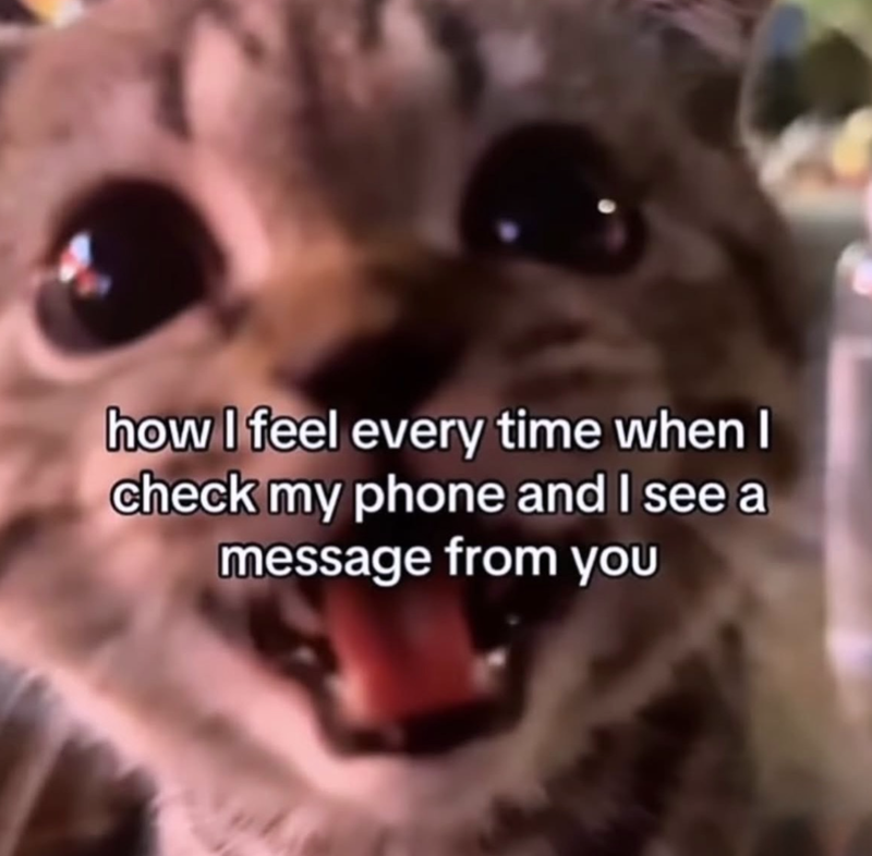 how I feel every time when I check my phone and I see a message from you