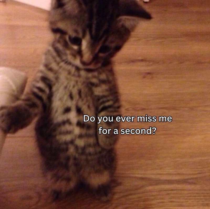 Do you ever miss me for a second?