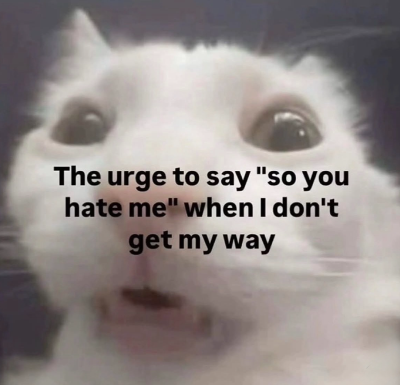 The urge to say "so you hate me" when I don't get my way