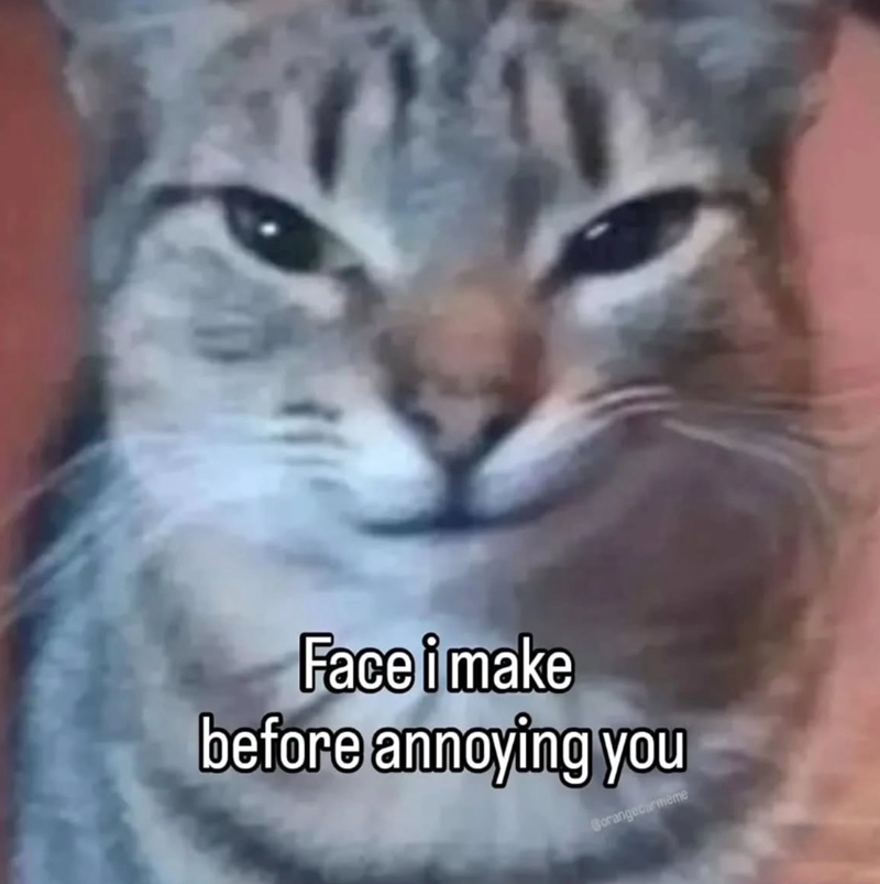 Face i make before annoying you Gorangecarmeme