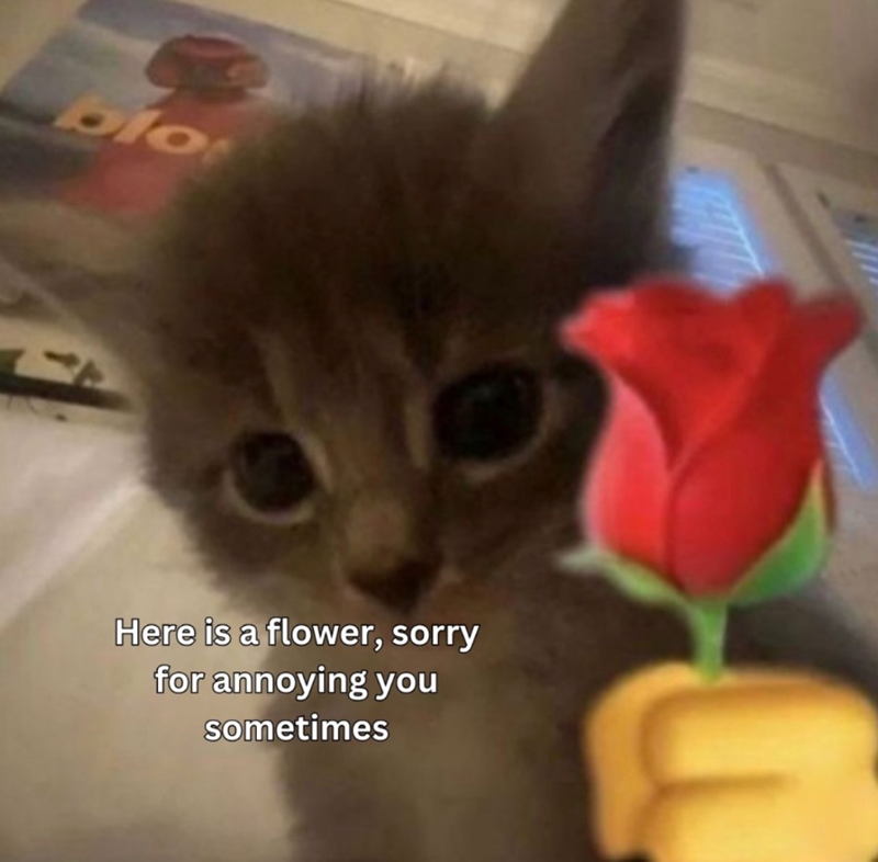 blo 4 Here is a flower, sorry for annoying you sometimes