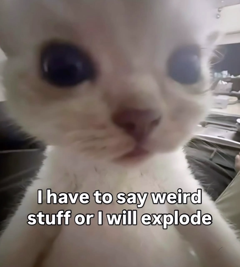 I have to say weird stuff or I will explode