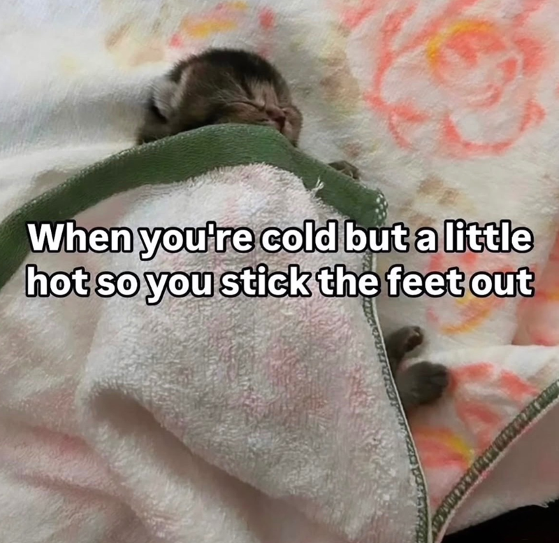 When you're cold but a little hot so you stick the feet out